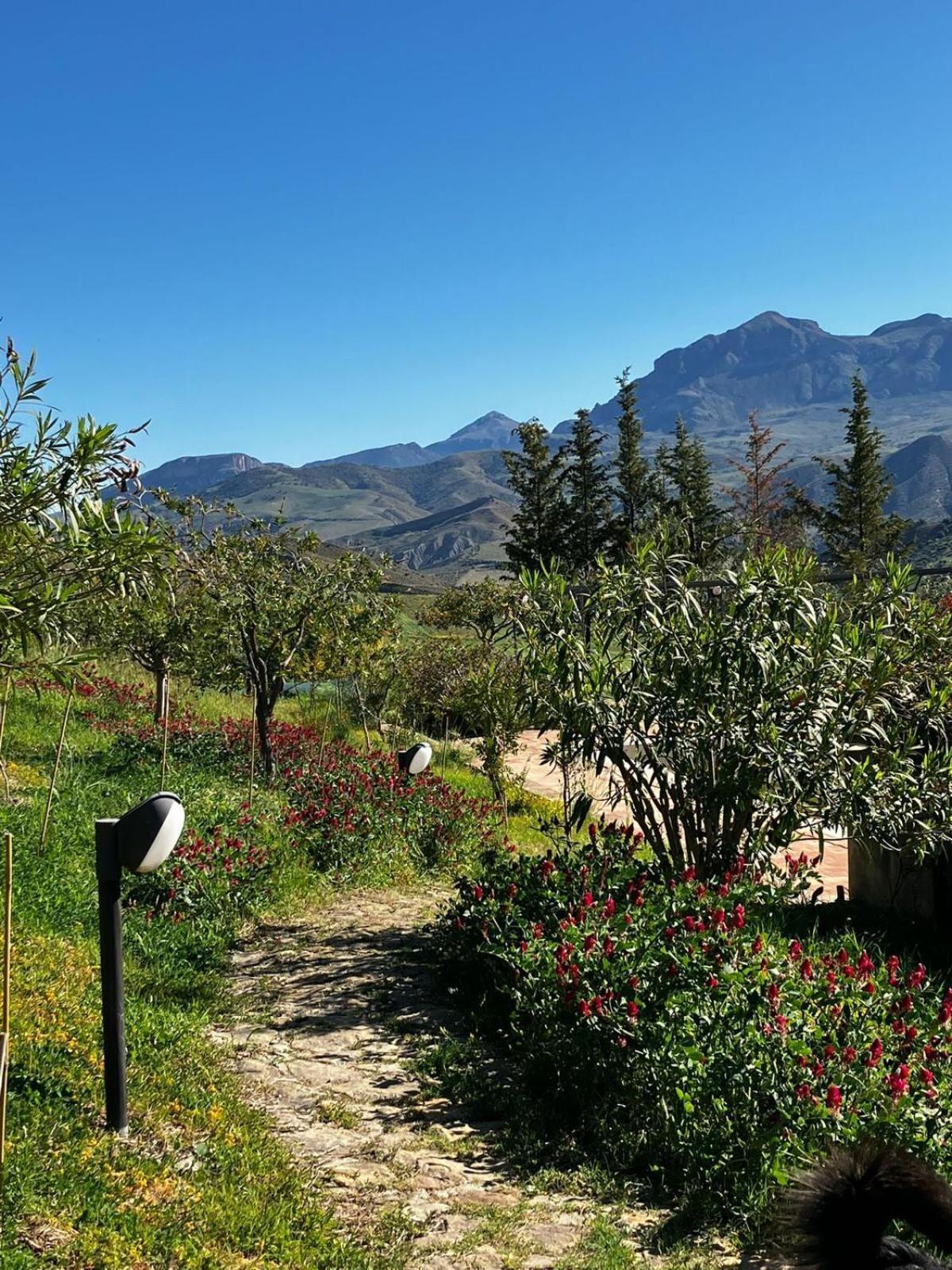 Le Case Di Cardellino - Agrispa Sclafani Exteriér fotografie