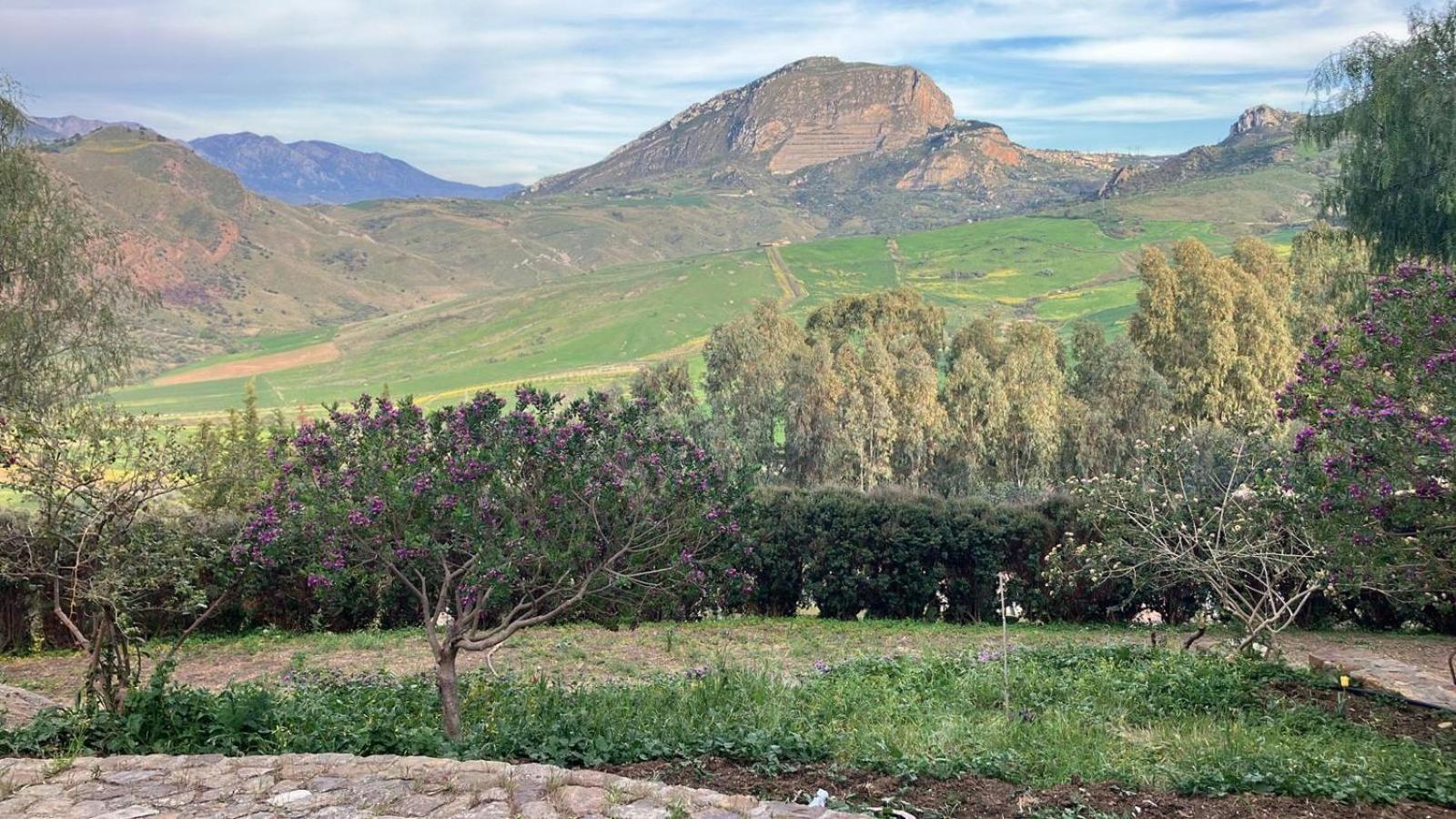 Le Case Di Cardellino - Agrispa Sclafani Exteriér fotografie